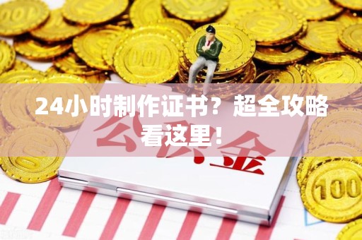 湖里24小时制作证书？超全攻略看这里！